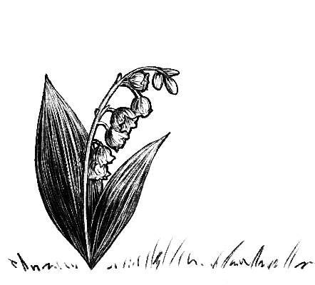 Ernte Bell
